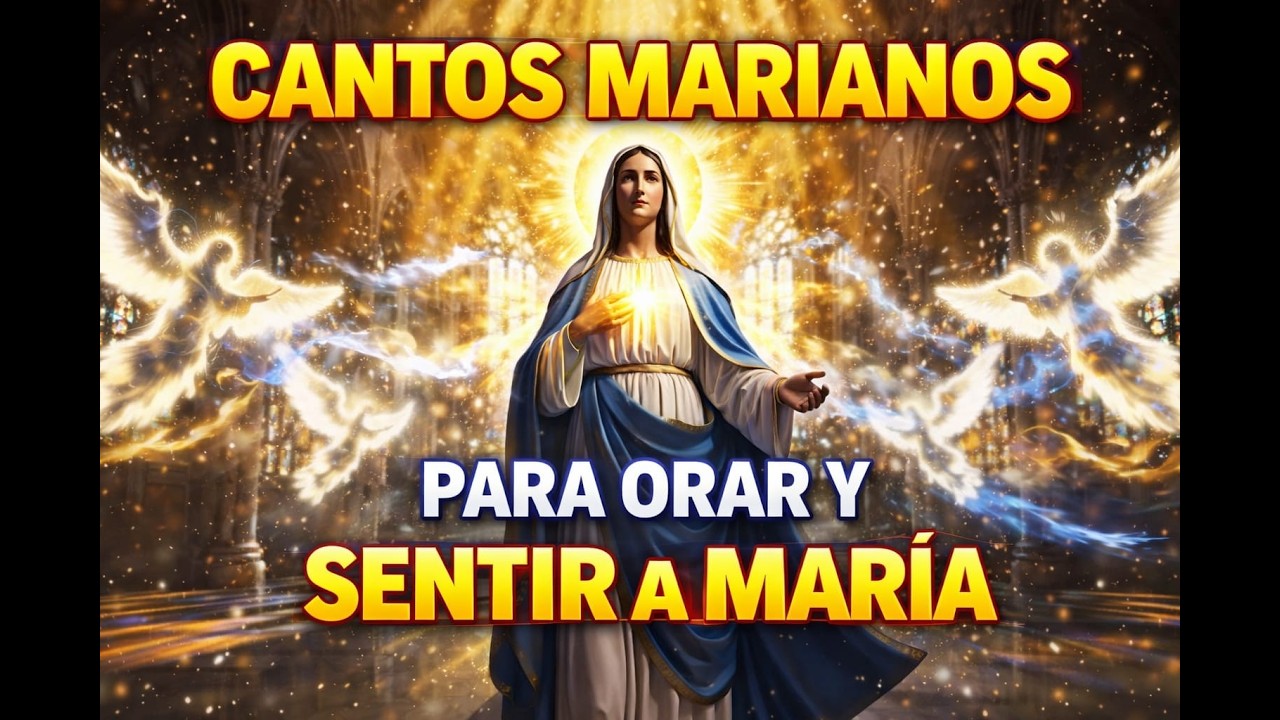💙CANTOS MARIANOS PARA ORAR Y SENTIR LA PRESENCIA DE MARÍA #cantosmarianos #virgenmaria
