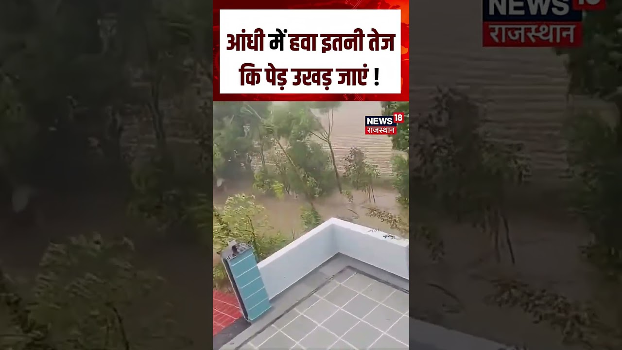 Weather News : आंधी का कहर, पलभर में धराशायी हुए पेड़! | N18S |Heavy Rain | IMD Alert | Weather