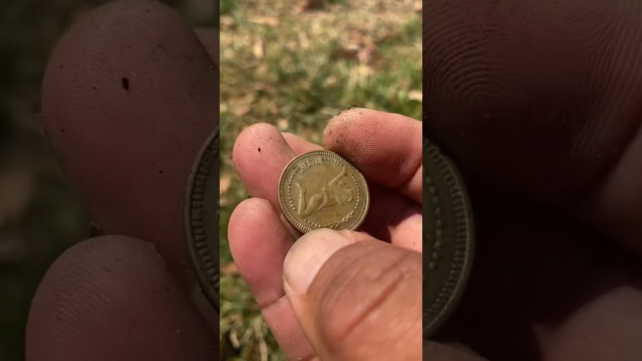 Found an unusual token #token #california