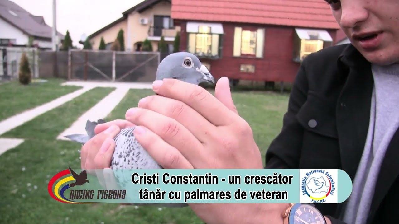 Cristi Constantin - un crescător tânăr cu palmares de veteran