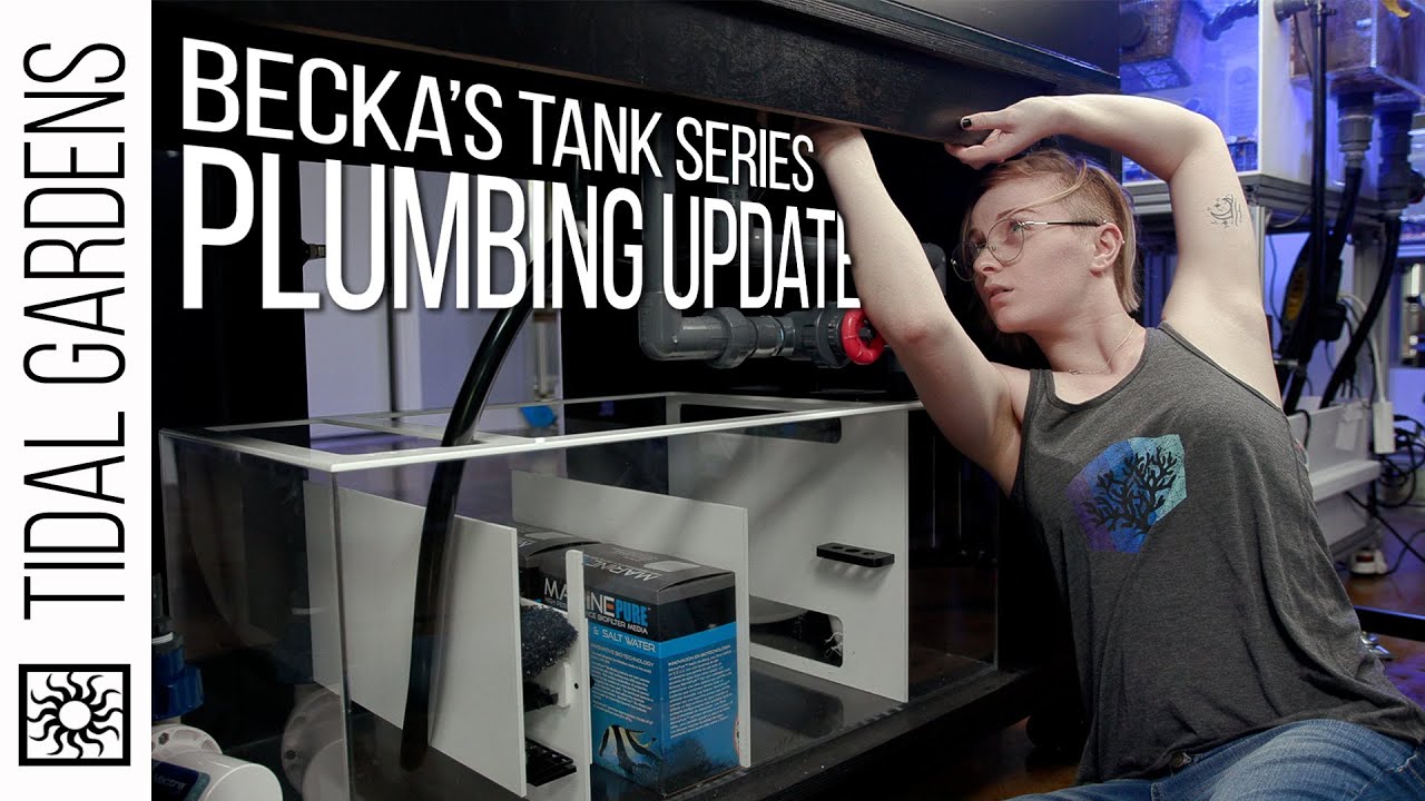 Becka's Reef Tank Episode 3 - Adventures in Plumbing