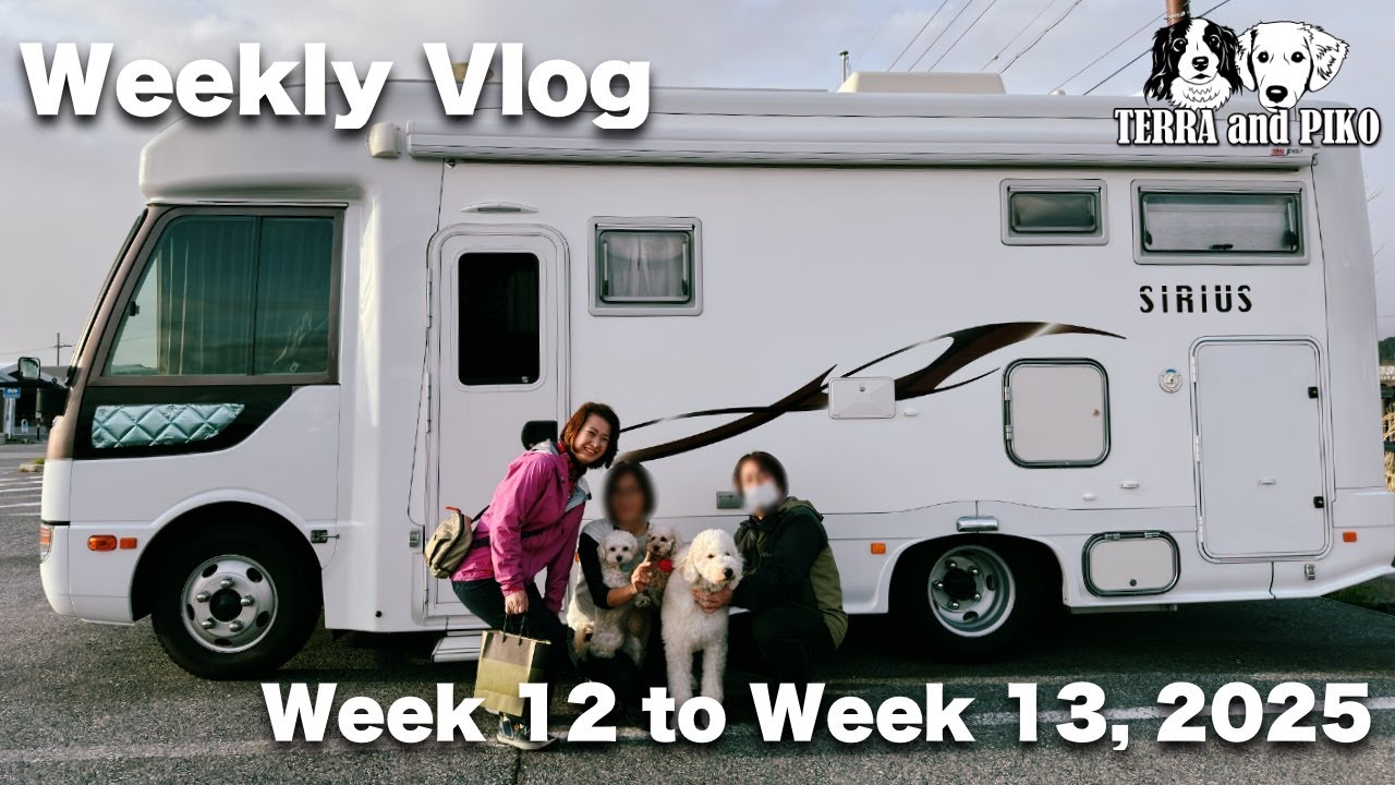 全国の旅友と再会したり、クラウン注文したり♪ [週刊VLOG] [Week 12 to Week 13, 2025] コーイケルホンディエ |トーラー |フィールドライフ シリウス|レガードネオプラス