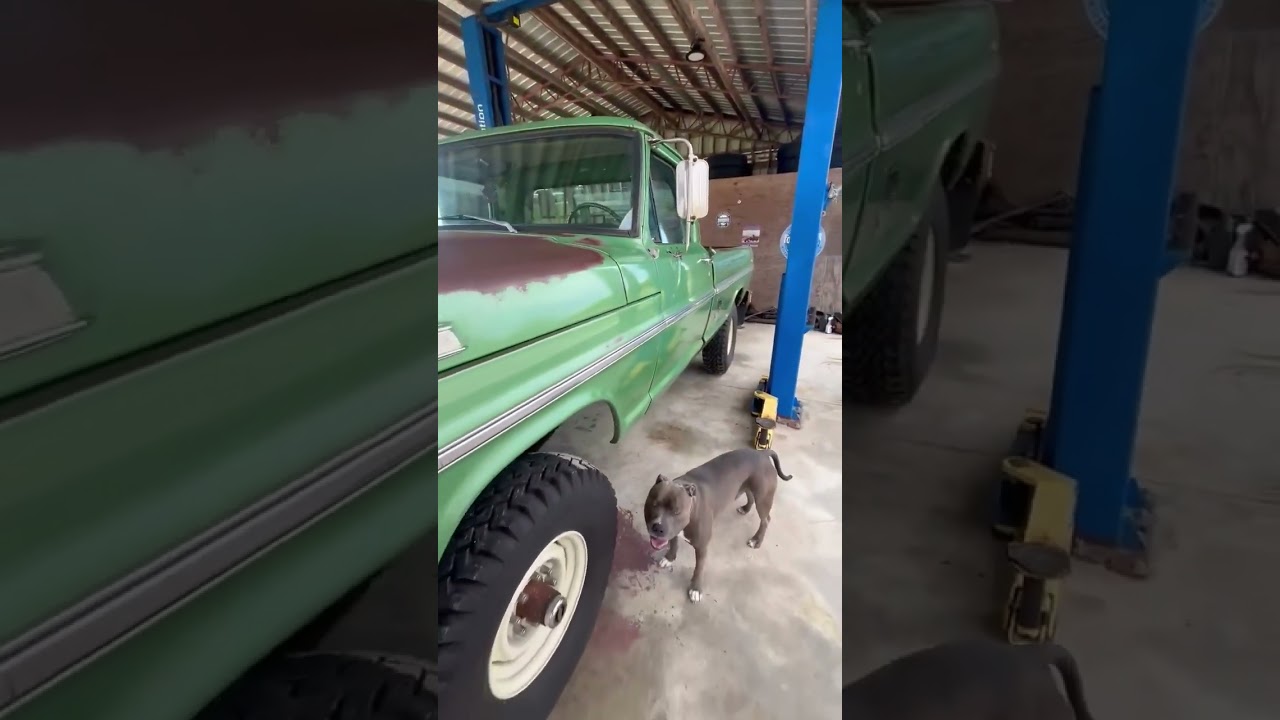 1972 Ford F250