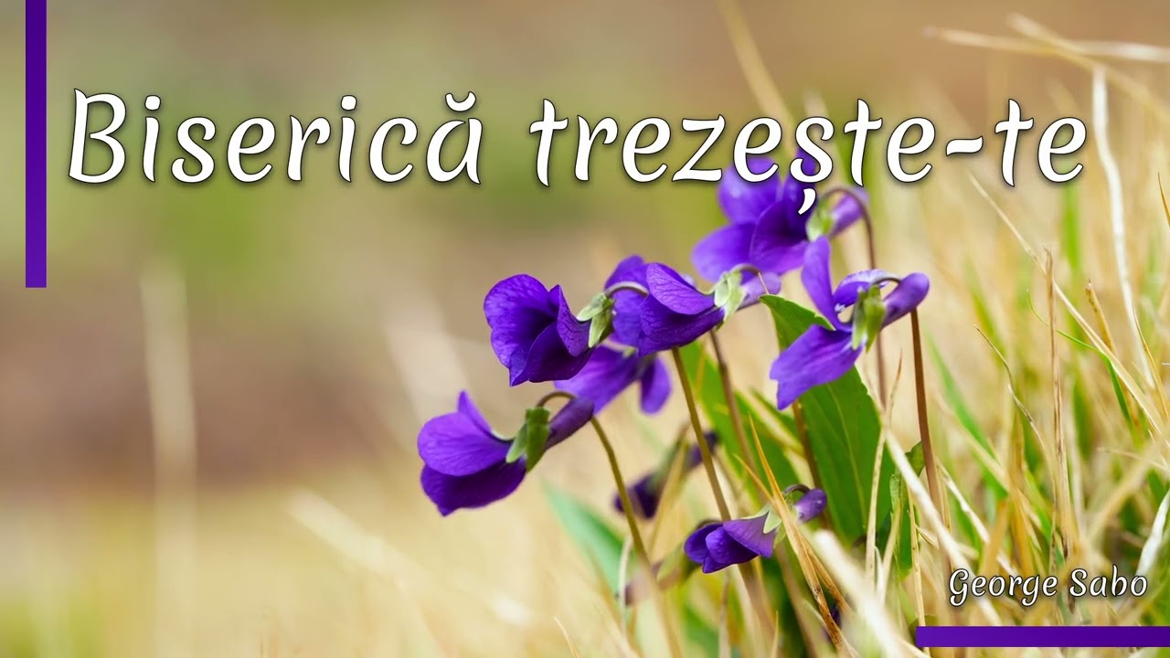 Biserică trezește-te | George Sabo