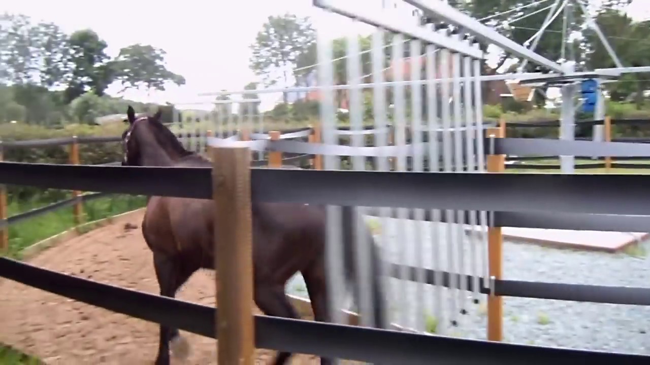 marcheur pour chevaux.MOV