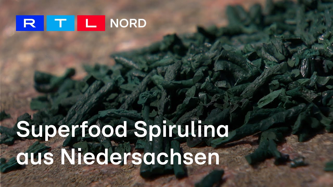 Mikroalgen | Der Anbau des Superfoods Spirulina