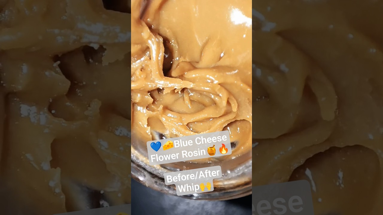 Blue Cheese Flower Rosin 💙🧀🍯 - Before / After Whip 🔥😶&zwj;🌫️