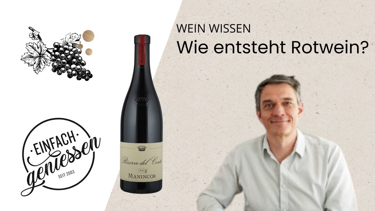 Weinwissen - Wie entsteht Rotwein?