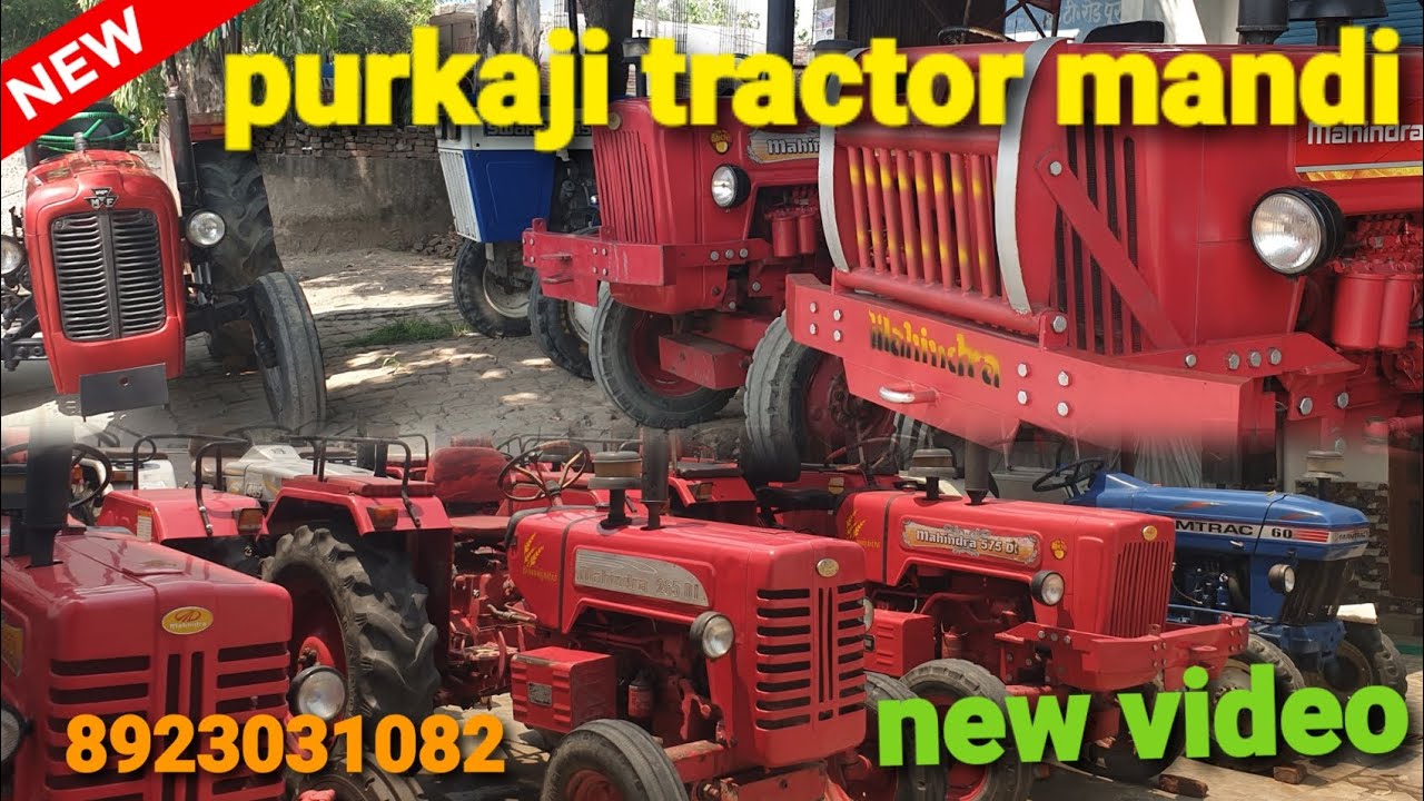 Purkaji tractor mandi 🚜 new video  ट्रैक्टर local number संपर्क करे 8923031082 #tractormandipurkaji