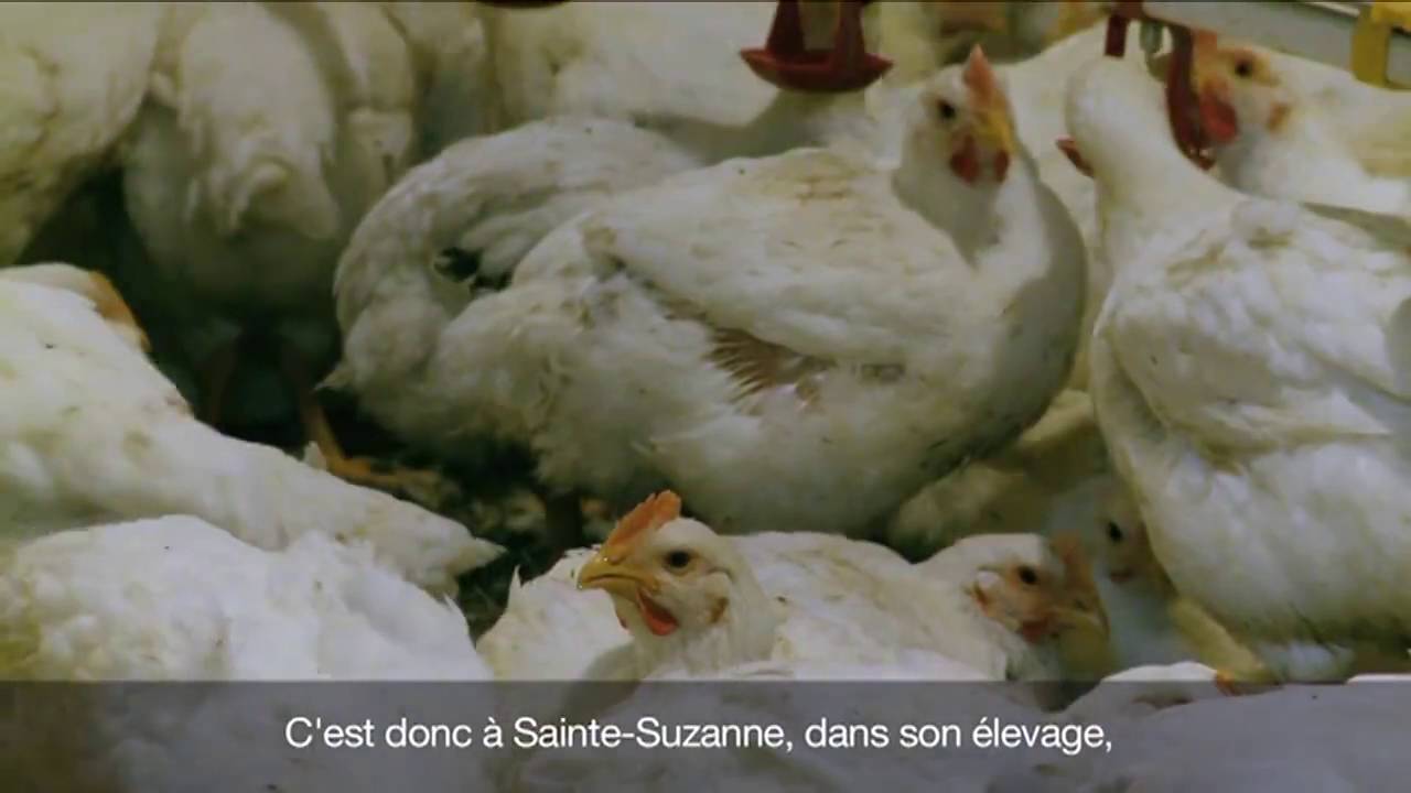Conquête des terres en friche pour l'installation de jeunes agriculteurs