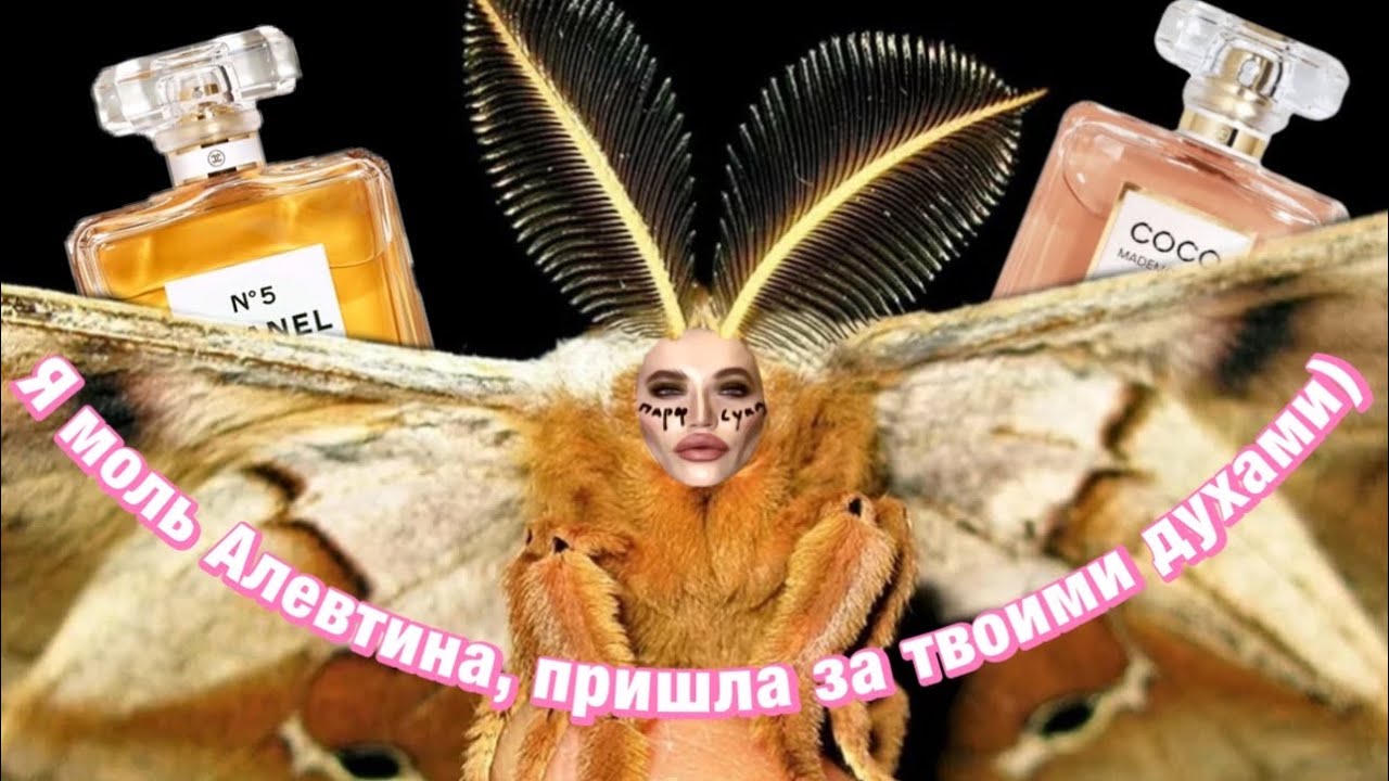 🪻АРОМАТЫ С ЛАВАНДОЙ