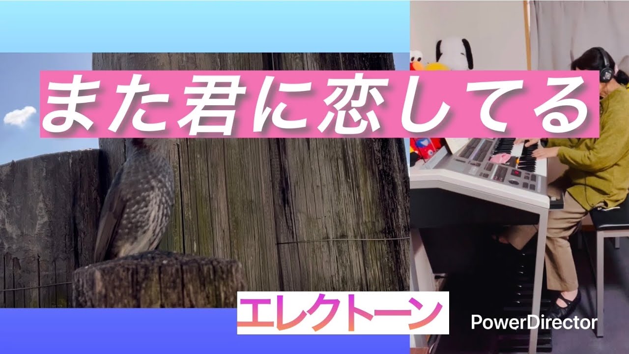 【また君に恋してる】エレクトーン演奏
