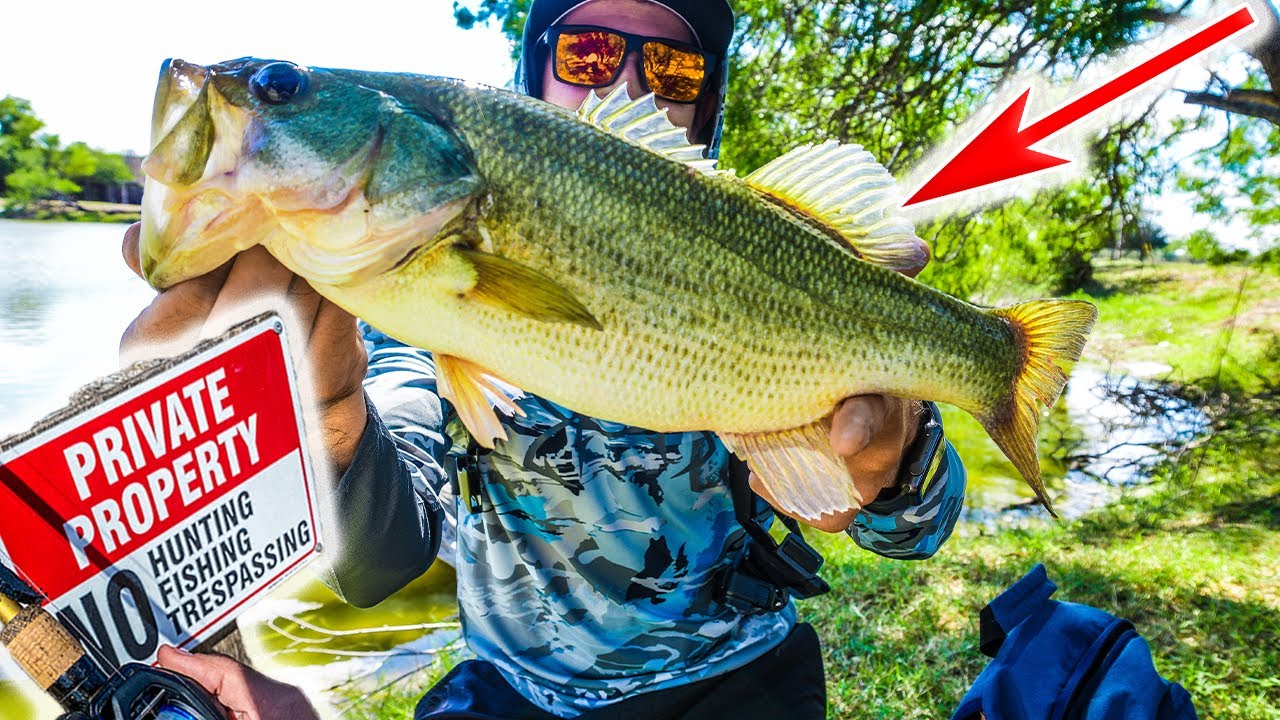 Pond Hopping In Mcallen Texas Finding BIG Bass and Other Species (5FT GAR HOOKED!!)