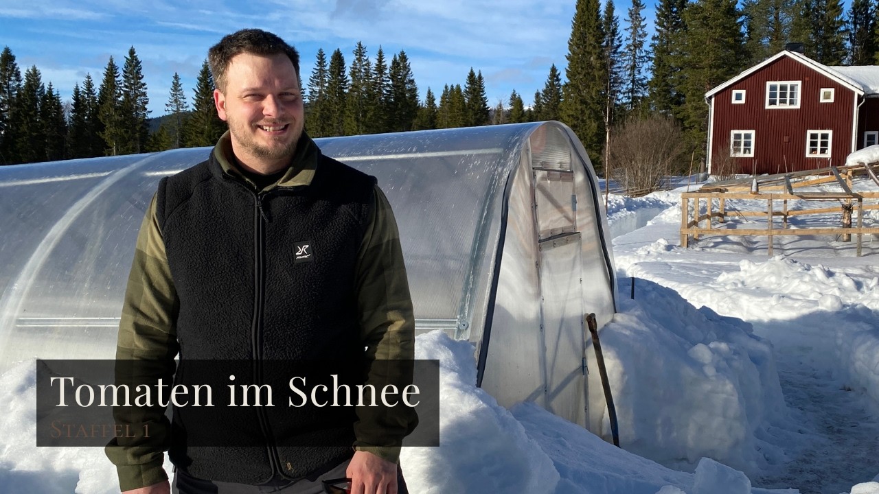 Folge 22 | Gemüseanbau in Nordschweden | Sonne, Schnee und Tomaten