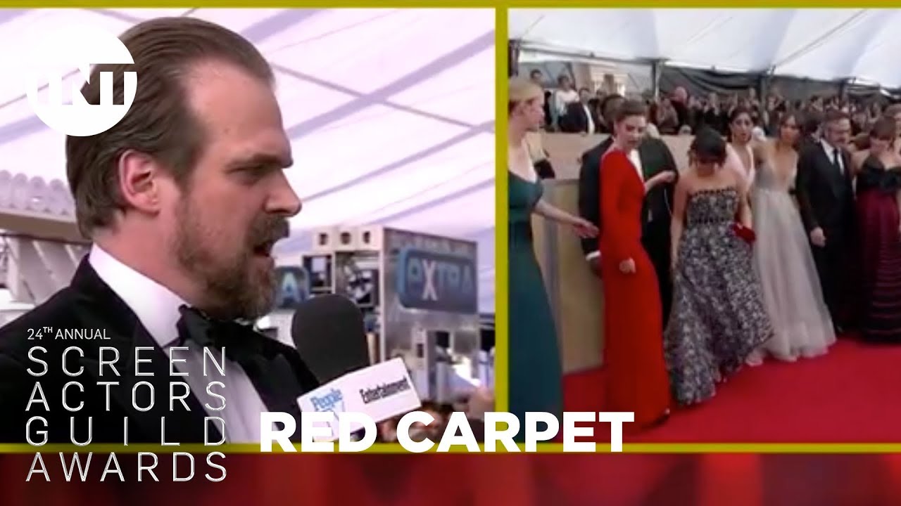 David Harbour: Red Carpet Interview | 24th Annual SAG Awards | TNT