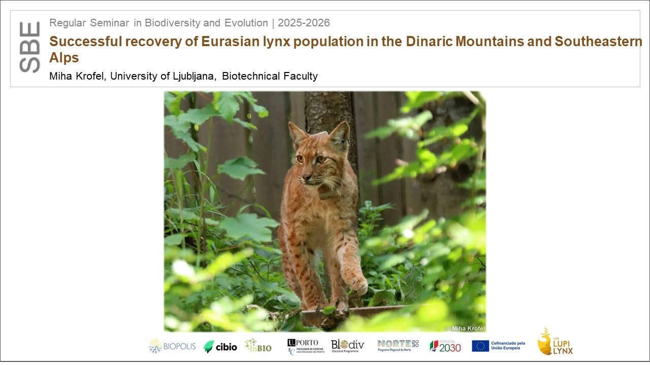 [Webinar] Successful recovery of Eurasian lynx population in the Dinaric Mountains ...