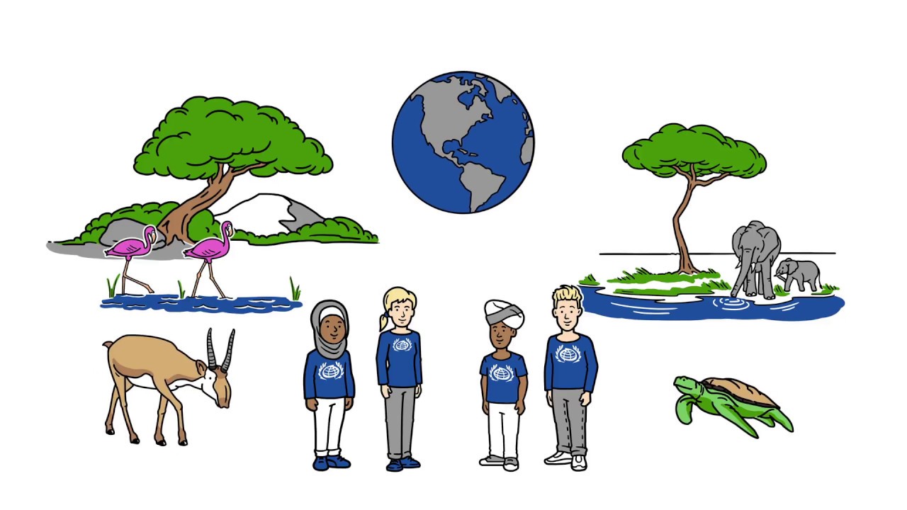 Why do we need to protect the world's migratory animals?