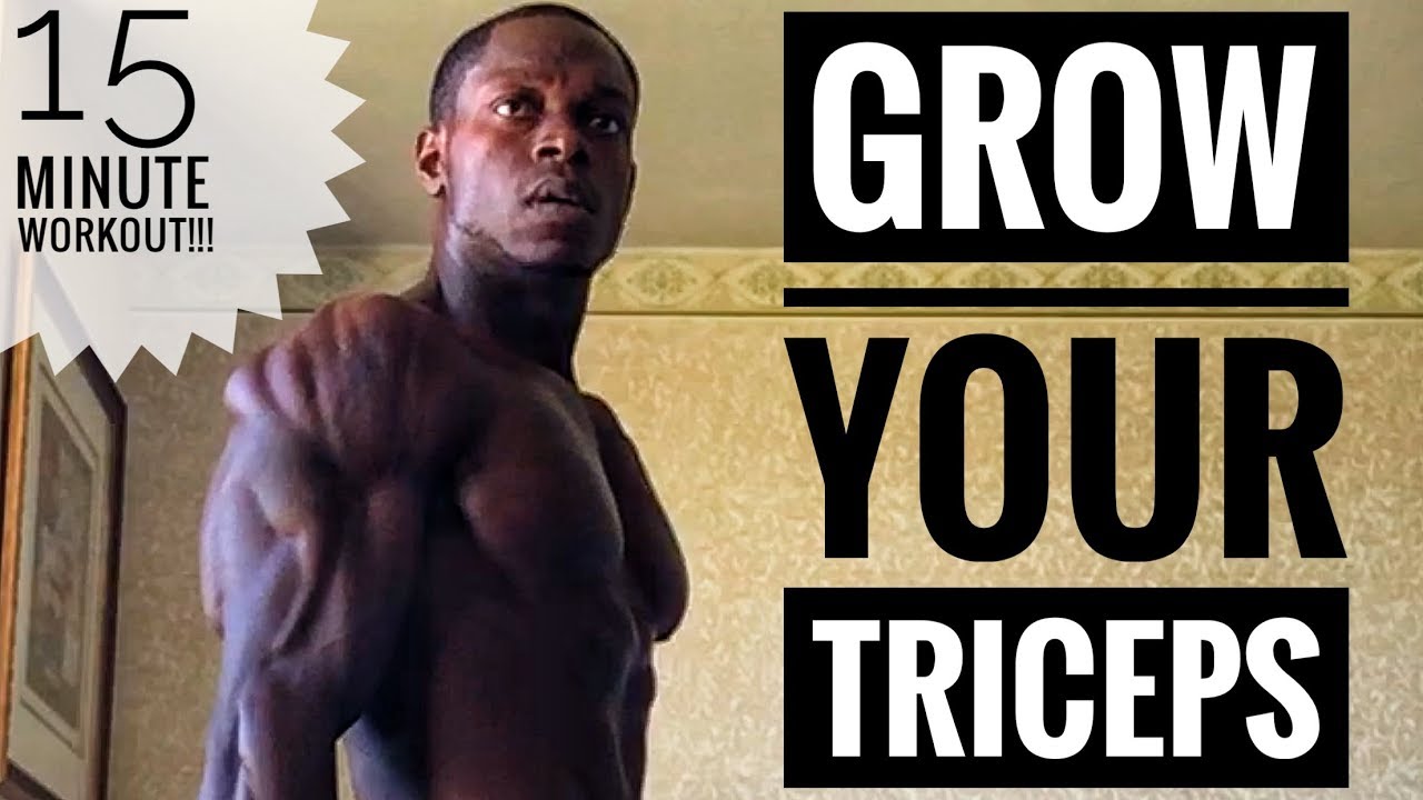 15 Minute Tricep Workout For Bigger & Stronger Triceps