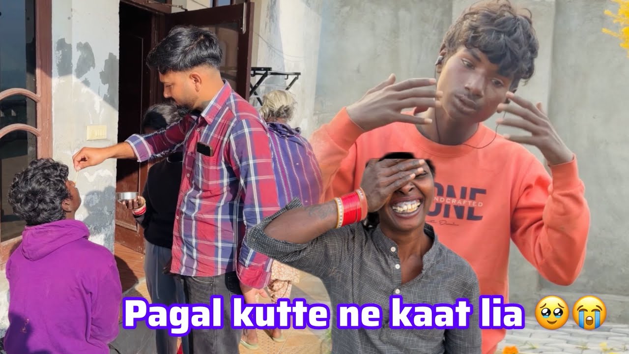 Halka kutte ne kaat lia 😭 || Raju Parnaj Vlogs
