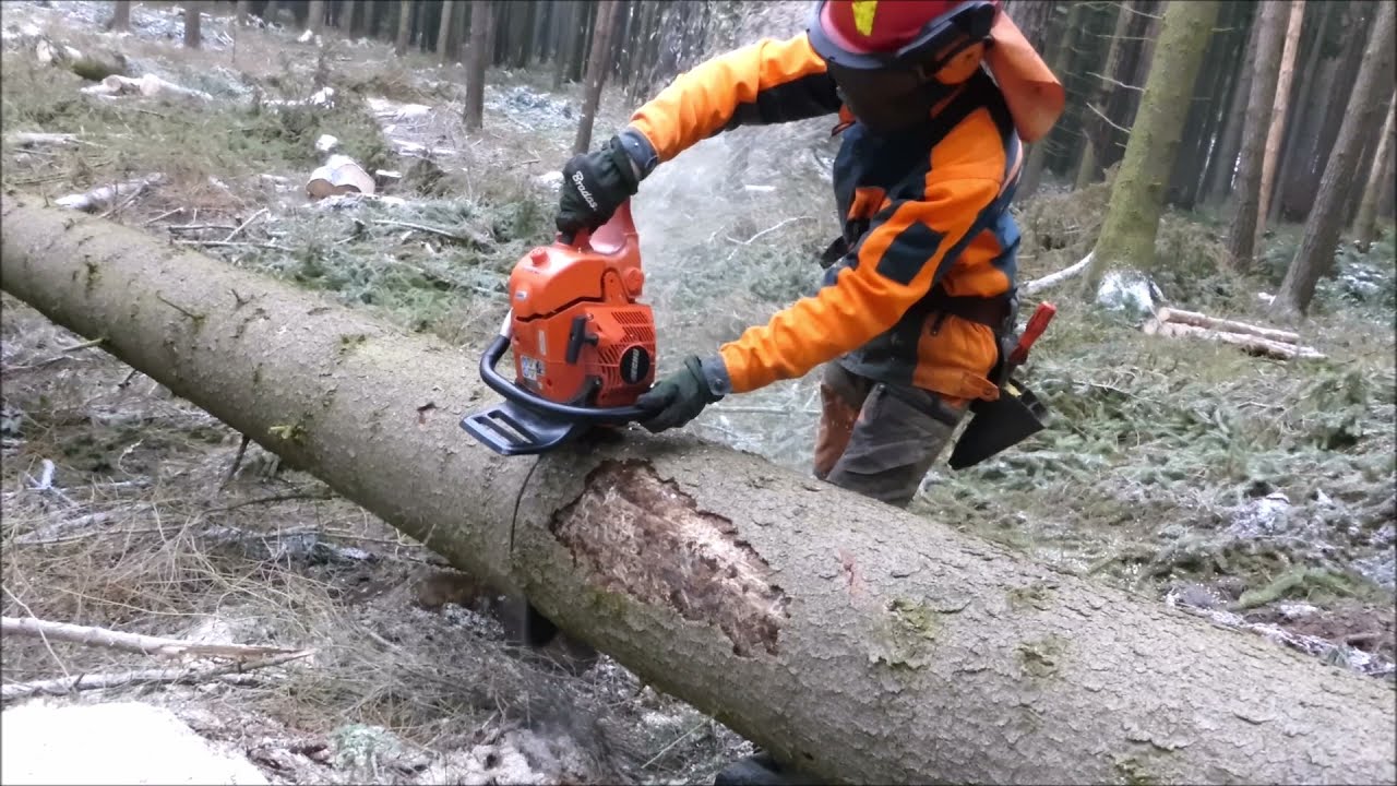 Forest job / Těžba dřeva - Echo 620 SX 