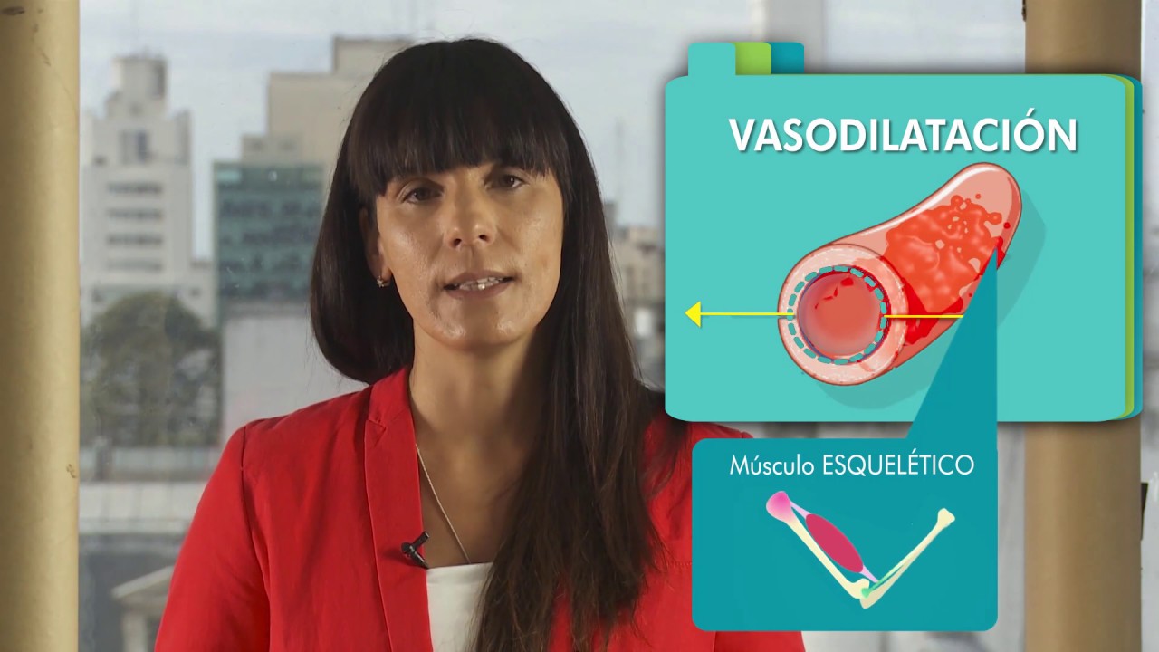 FISIOLOGÍA: Fisiología del ejercicio. PARTE I