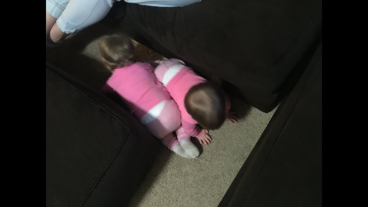 BARLEY AND LISHY WRESTLE