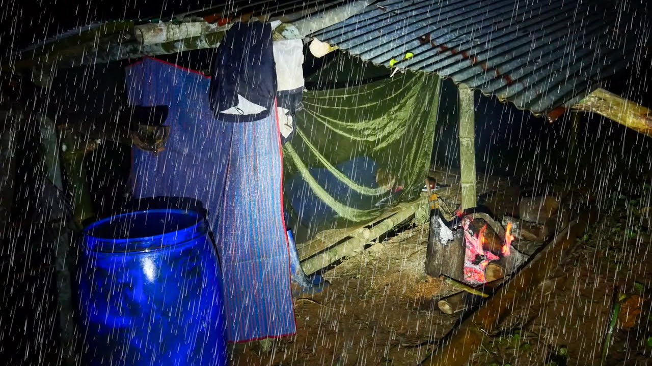 นอนบ้านสวนทุเรียน พายุวิภาถล่ม ฝนตกทั้งวันทั้งคืนลมแรงสุดๆ ต้นไม้ต้นไผ่โค่นเยอะมาก