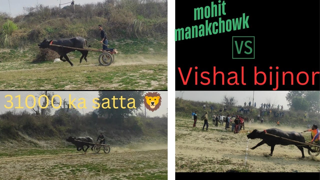 competition mohit manakchowk 🆚 vishal bijnor 👑
