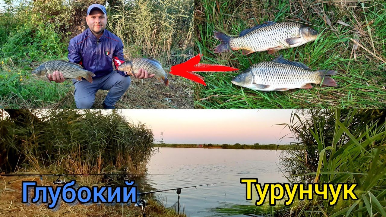Захватывающая рыбалка на Сазана: Приключения на реке Глубокий Турунчук!