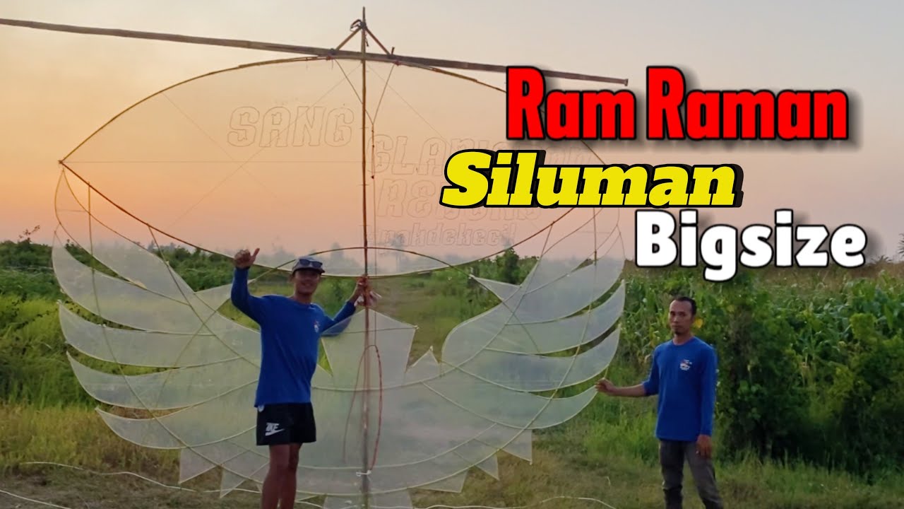 Layangan Bigsize Siluman Ram Raman Pak Ipul Bagian Setting