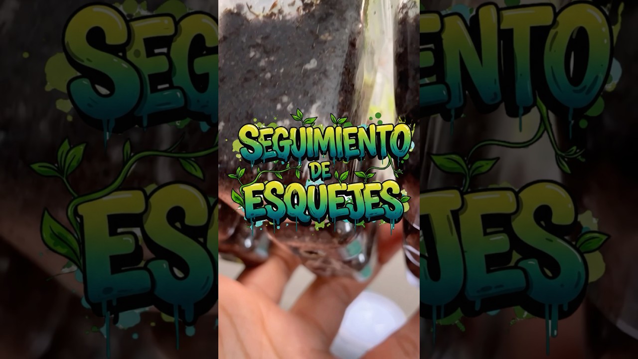 SEGUIMIENTO DE CLONACI&Oacute;N