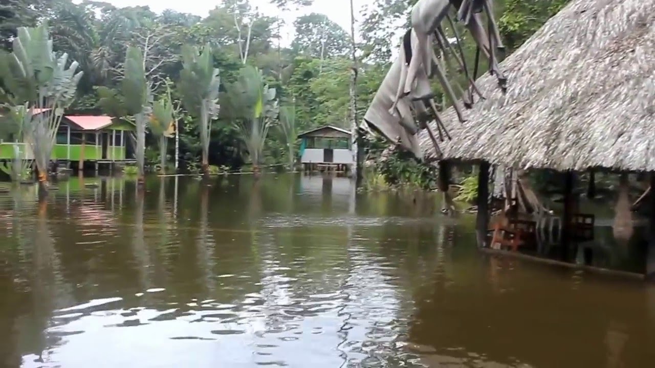 By boat from Moin to Tortuguero (Costa Rica)