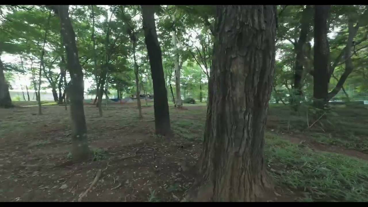 DJI AVATA 2 PARQUE BOTA FOGO