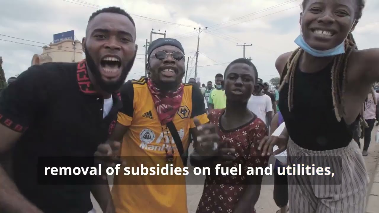 Nigeria's IMF Loan Challenges  Explained