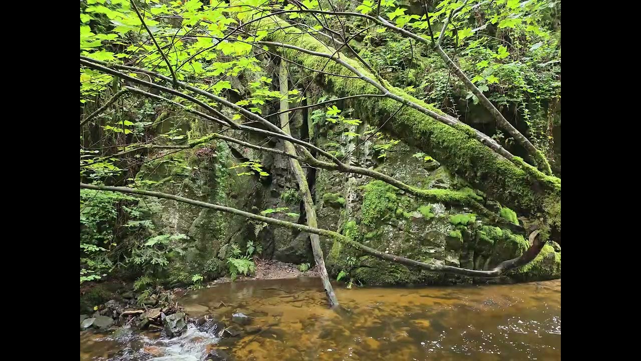 cascades de Tendon