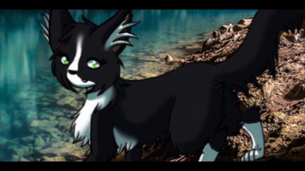 Warrior Cats OC Speedpaints