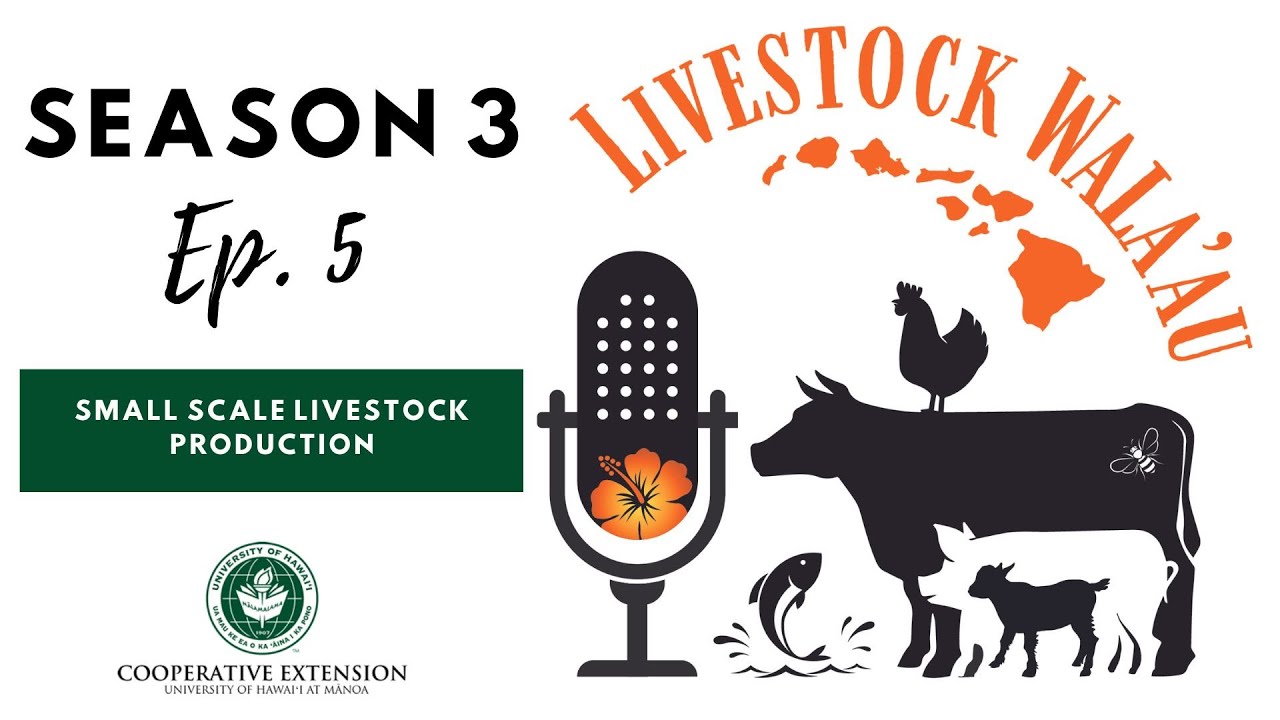 S3 Ep. 5: Small Scale Livestock Production (Livestock Walaʻau Podcast)