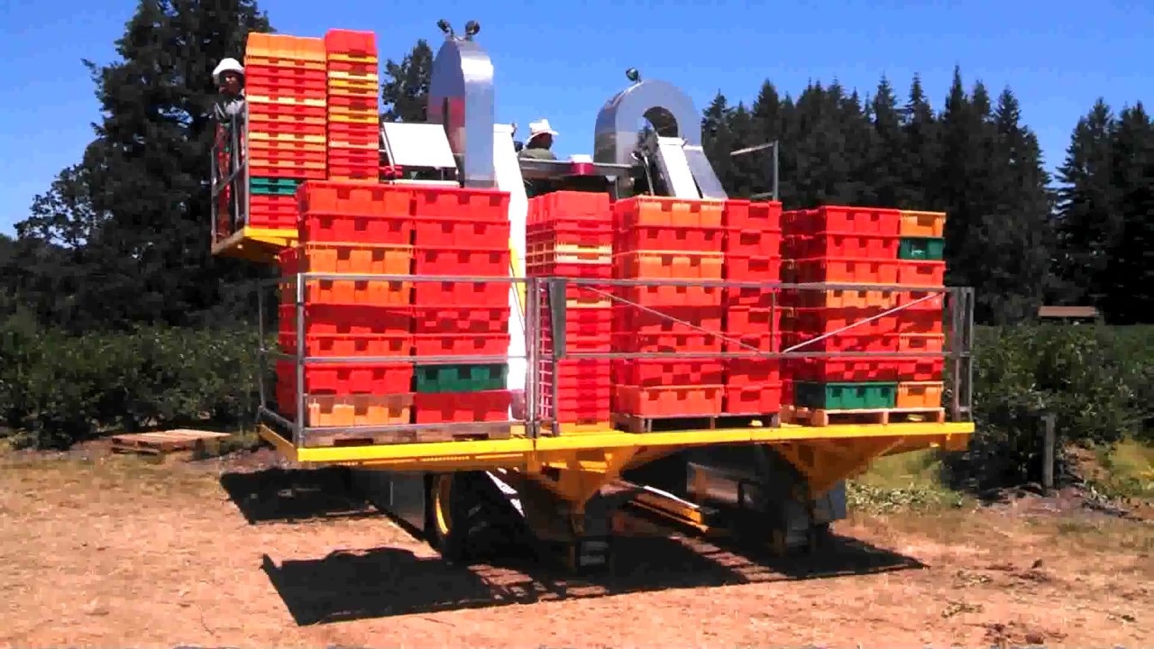 Машина Kобайн за малини - Littau Harvester Over-The-Row OR & ORXL, и Side-Row Raspberry Harvester