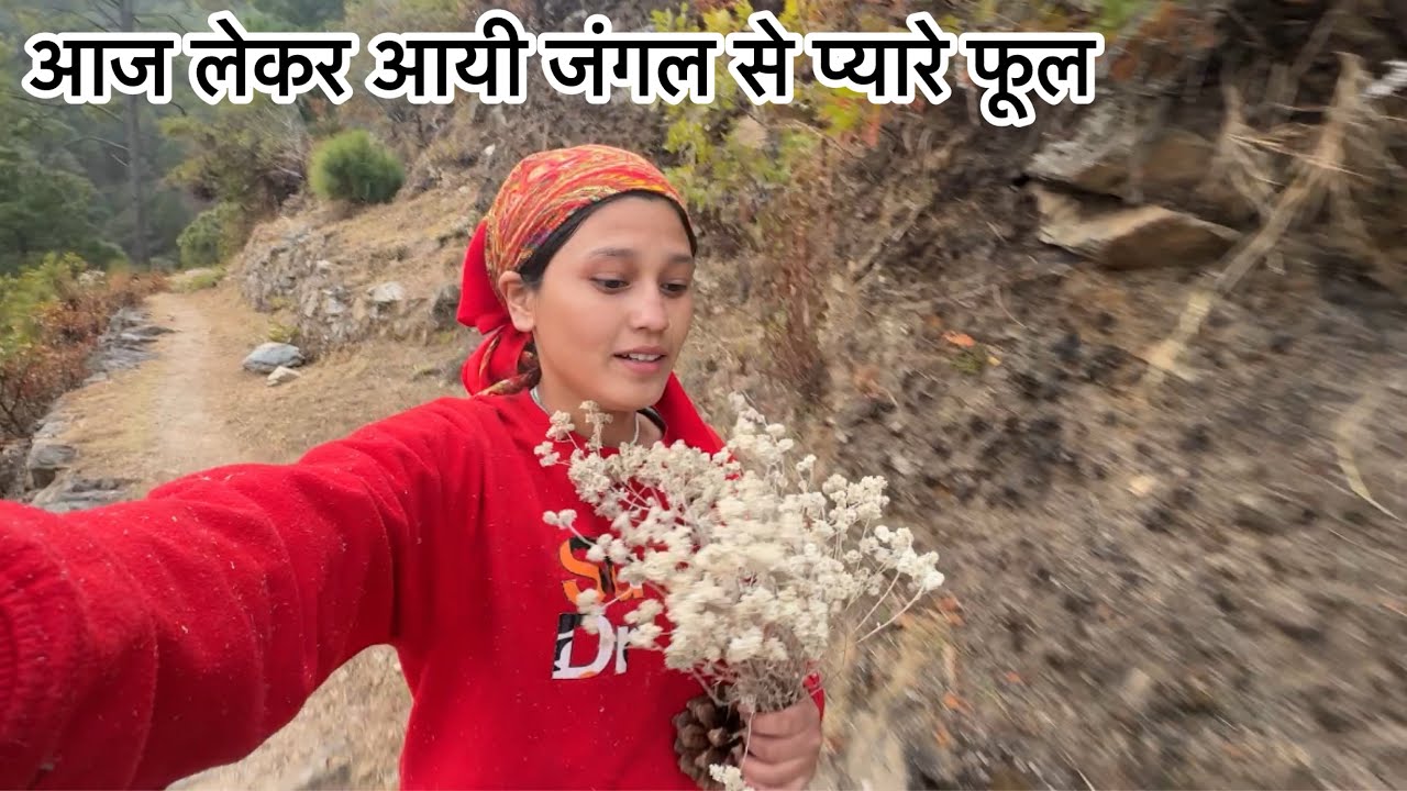 आज निकला बहुत सारा गोबर 