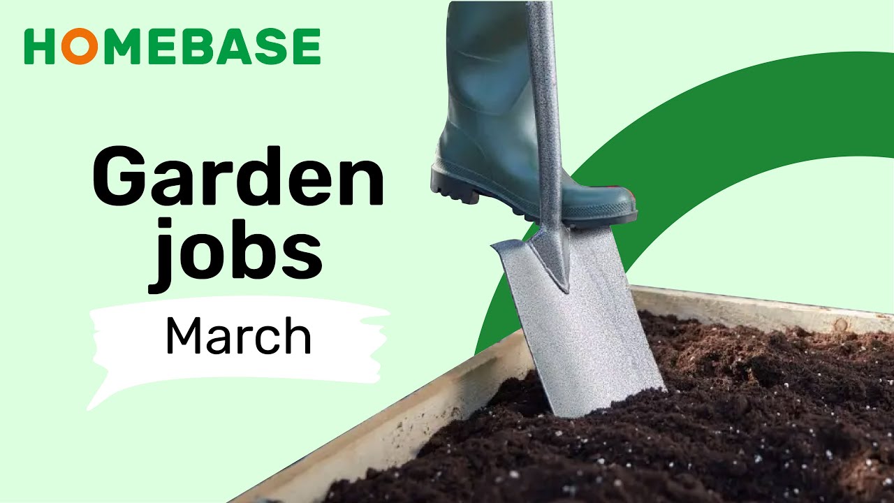 Garden Jobs To Do In March - Garden Diary: March | Garden Ideas & Tips | Homebase