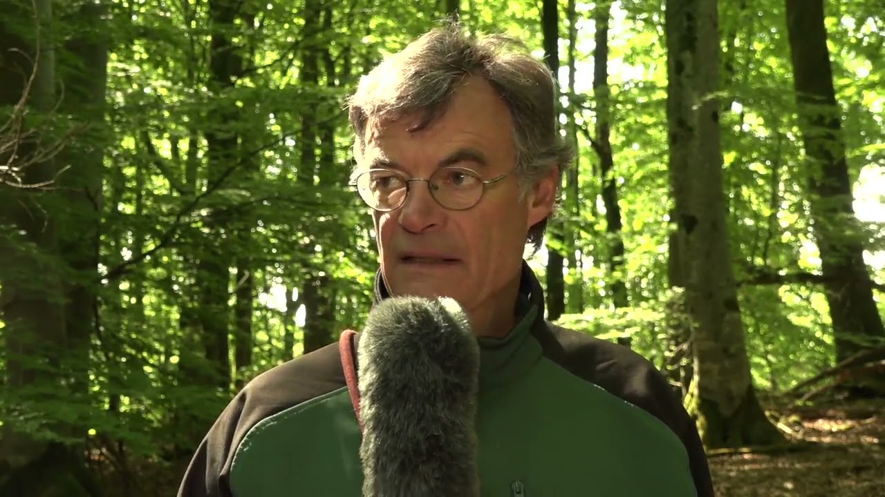 Bannwaldexkursion Teil 1