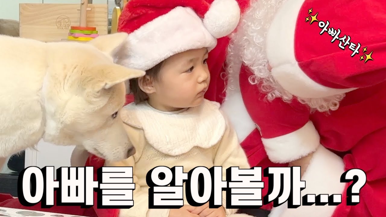 [클스마스특집] 산타클로스를 처음 본 아기와 강아지 극과 극 반응!! | 진돗개가족 vlog