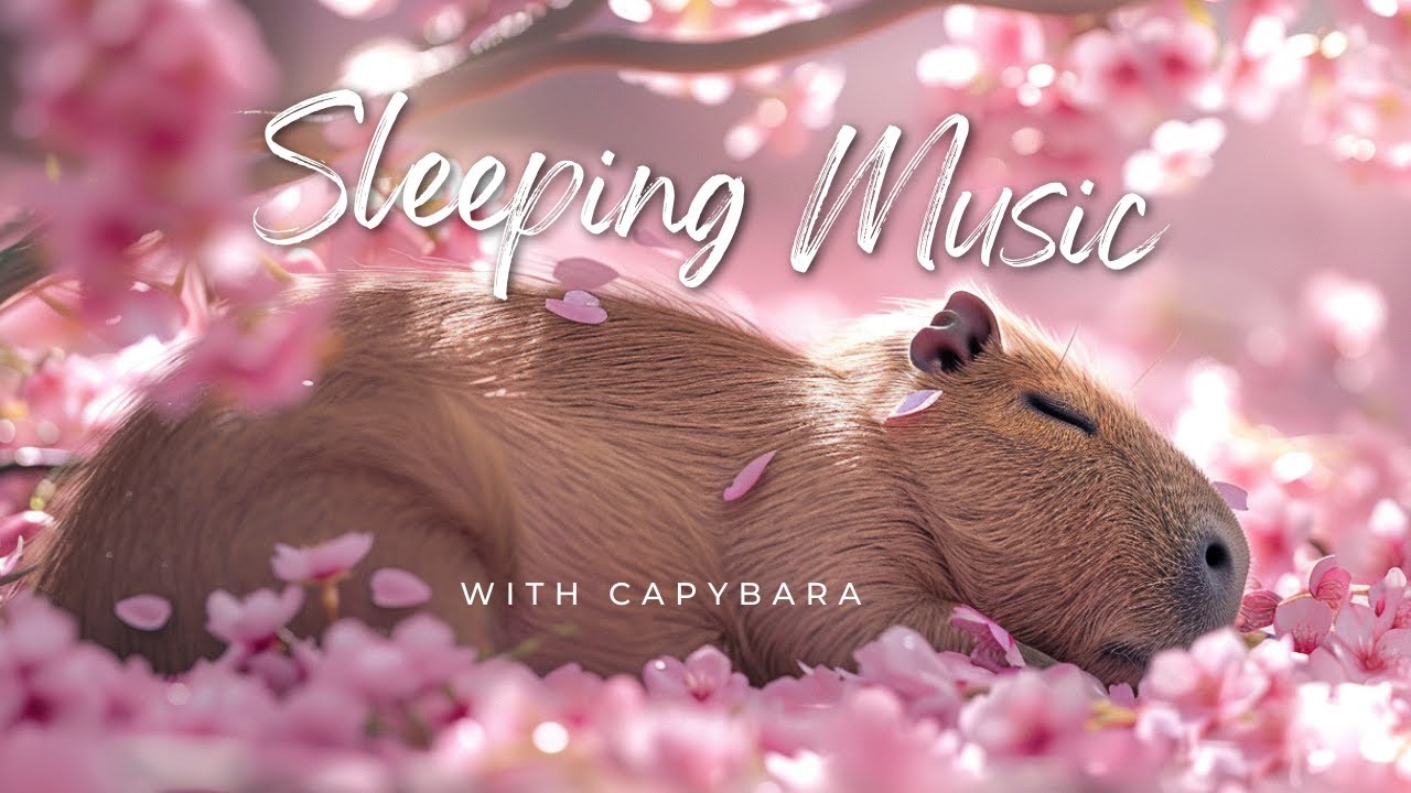 Capybara Cherry Blossoms -  Relax Sleep Meditation Music (1Hour)