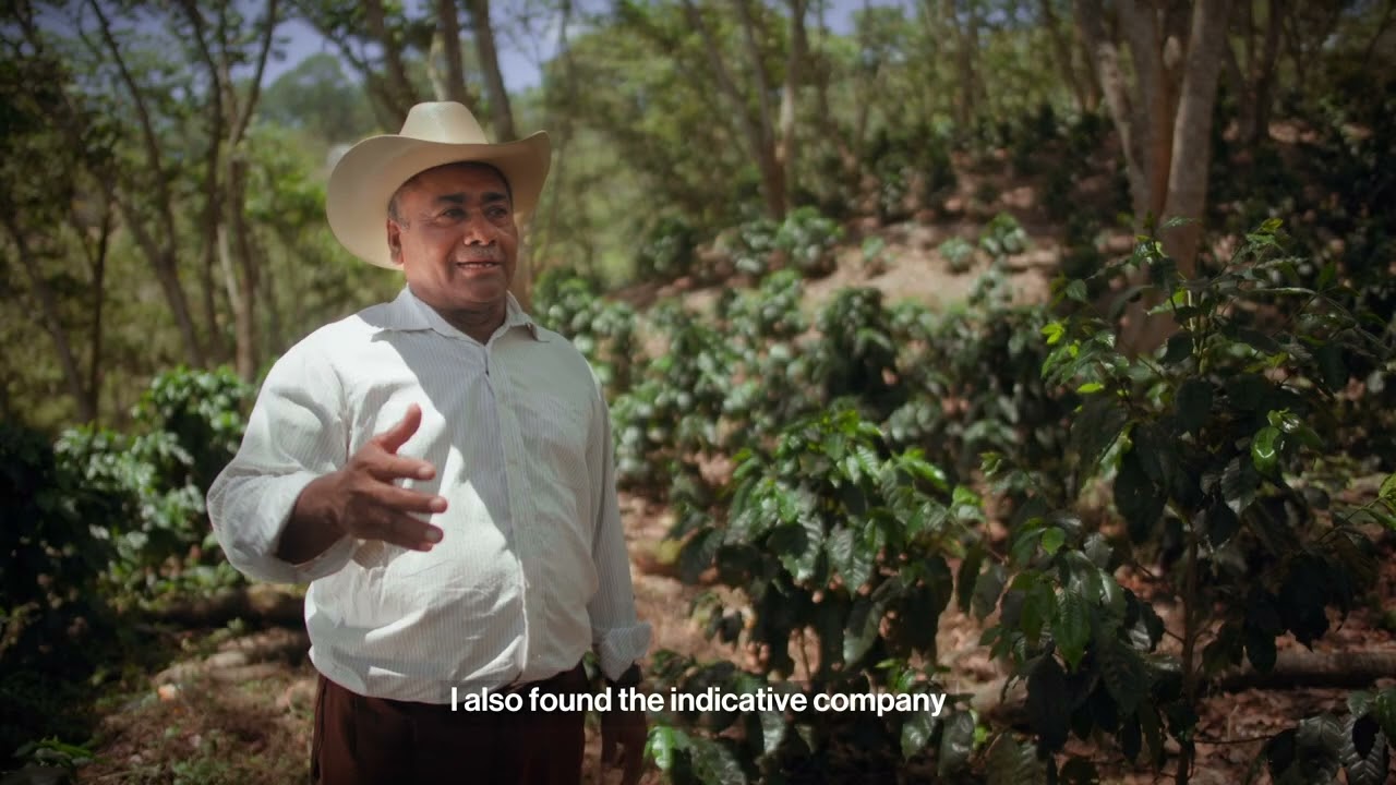 Producción institucional para: Molinos de Honduras