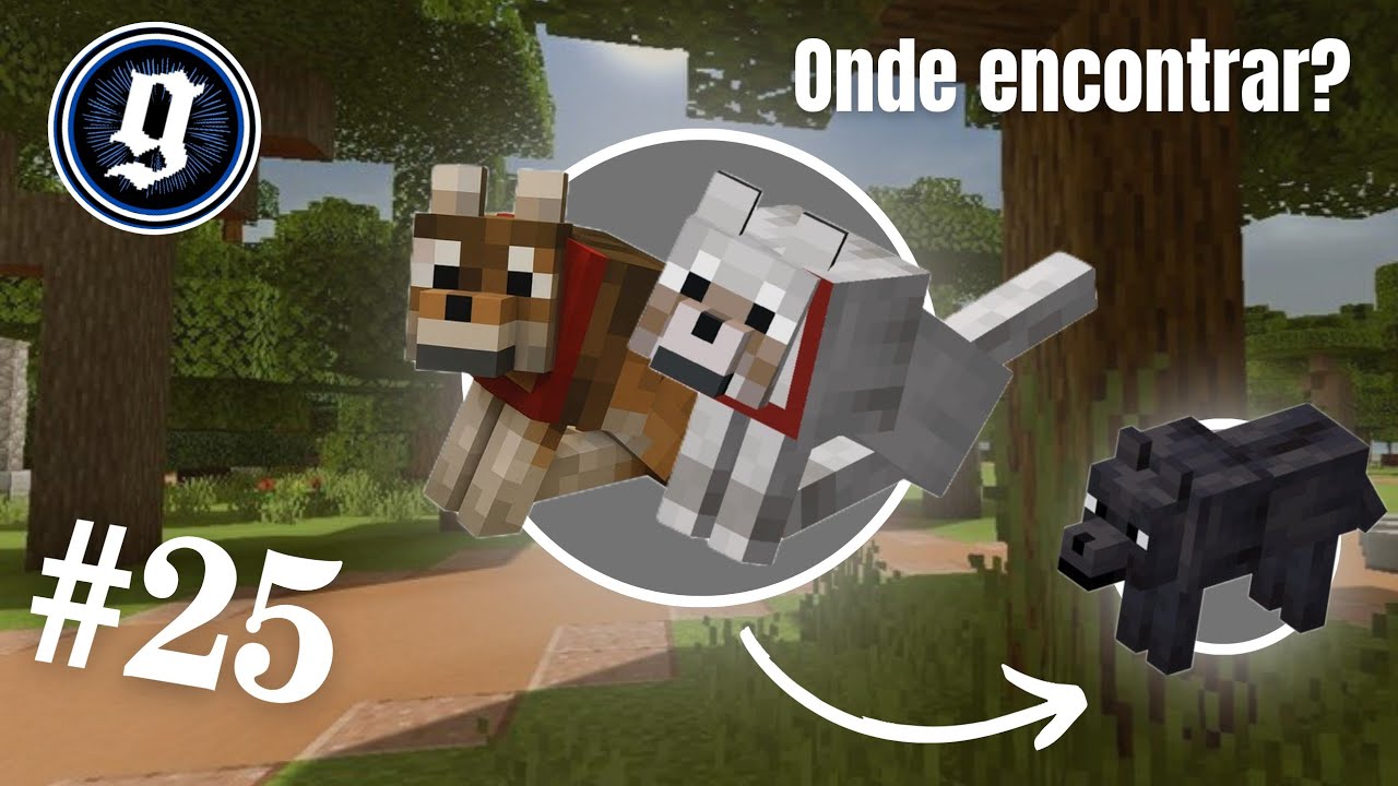 Onde encontrar TODAS as variantes de LOBOS no Minecraft