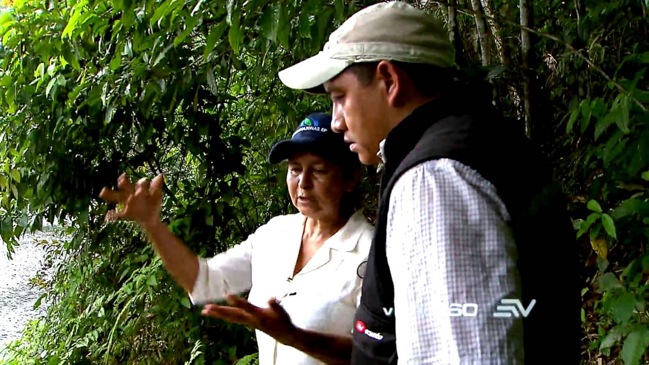 Contaminación oculta parte 1 | Programa 11 - Bloque 1 | Visión 360 III temporada