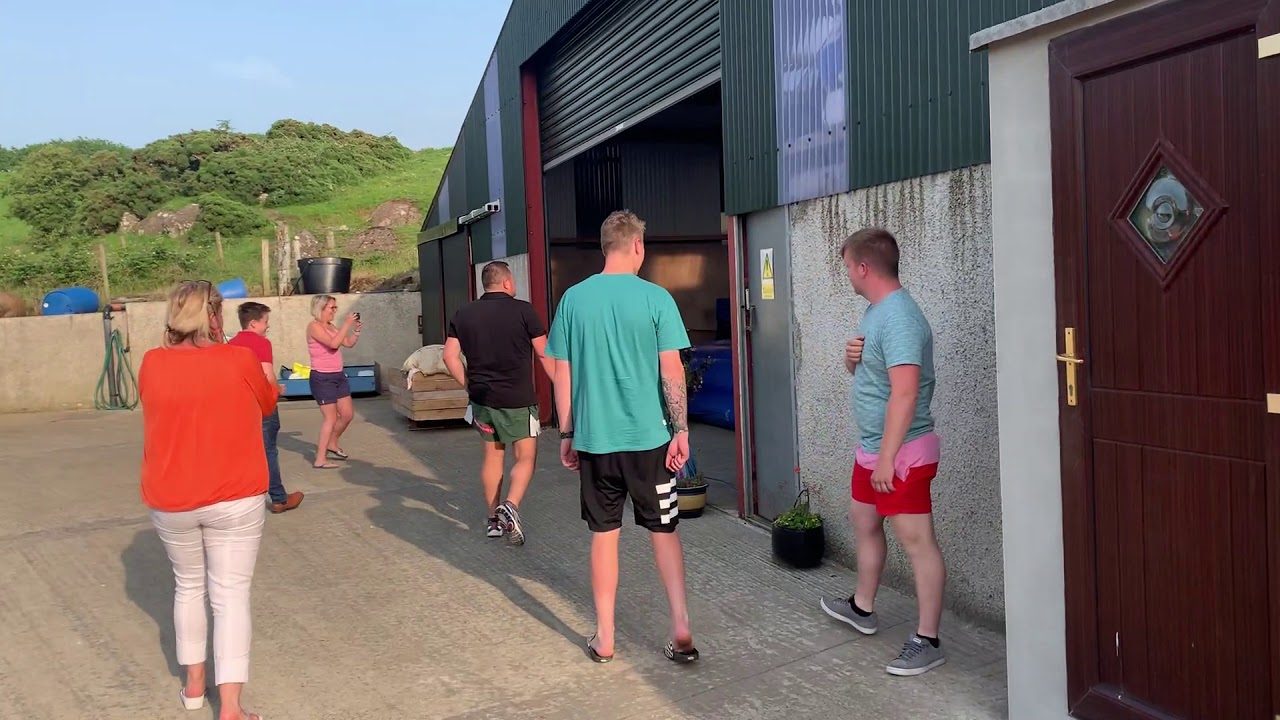 Cousins Reunite in Ireland After 20 Years Apart