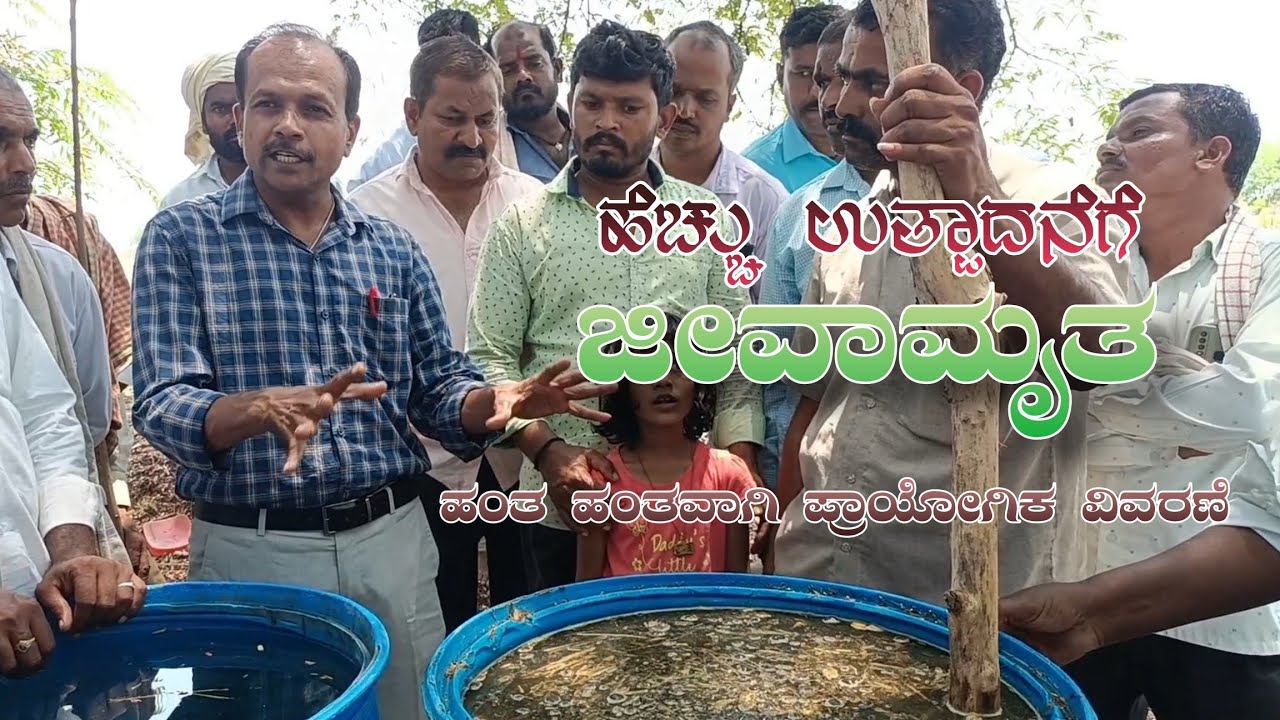 100% Organic ಜೀವಾಮೃತ ತಯಾರಿ | ರೈತರಿಗೆ ಸಂಪೂರ್ಣ ಮಾಹಿತಿ | Agriman ರೈತ 🌾