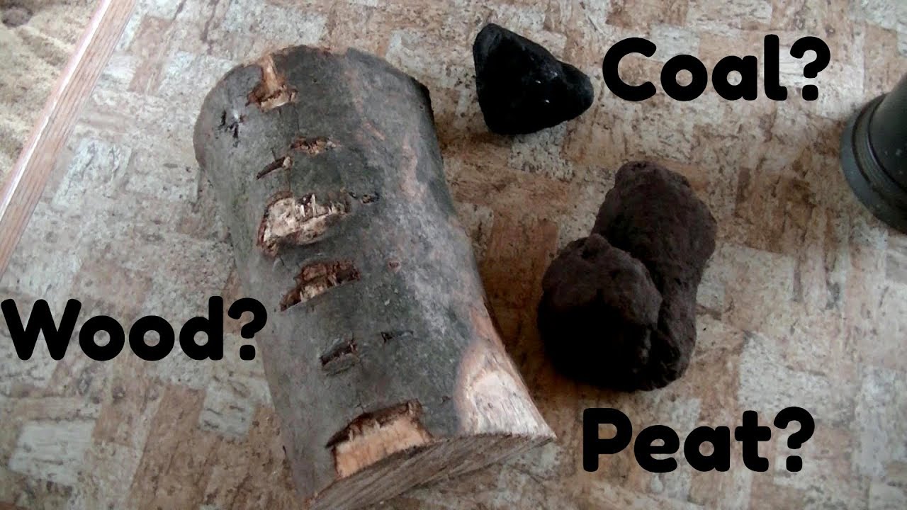 Coal, Peat or Wood - which is better?