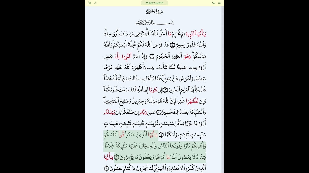 #سورة_التحريم_برواية_قالون#الحصري_المعلم_سورة_التحريم_مكررة_الآيات_سورةالتحريم قالون عن نافع